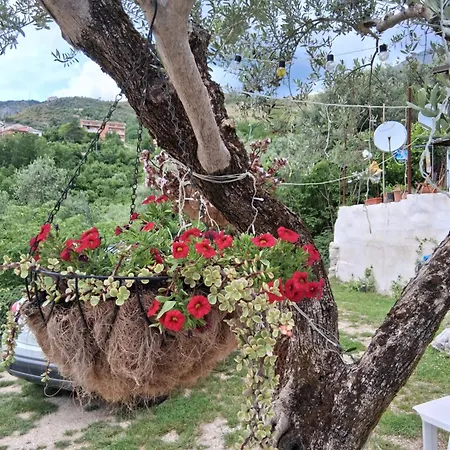 Bed & Breakfast A Casa Di Lucia-appartamento Deluxe 3*